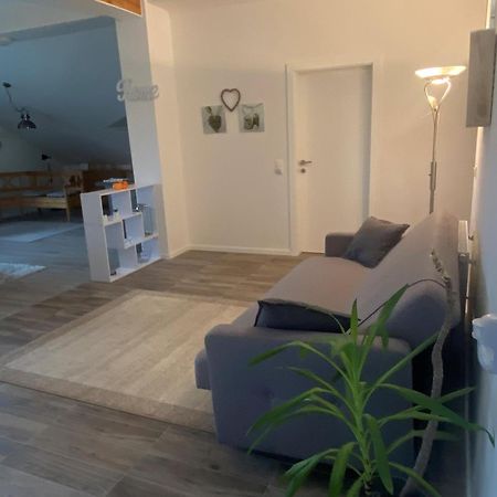 Penthouse N74 Linz 120 Qm Kids Welcome! Εξωτερικό φωτογραφία