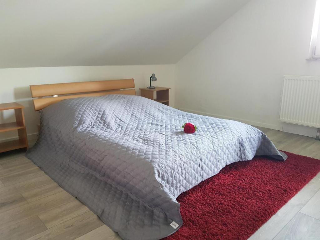 Penthouse N74 Linz 120 Qm Kids Welcome! Εξωτερικό φωτογραφία
