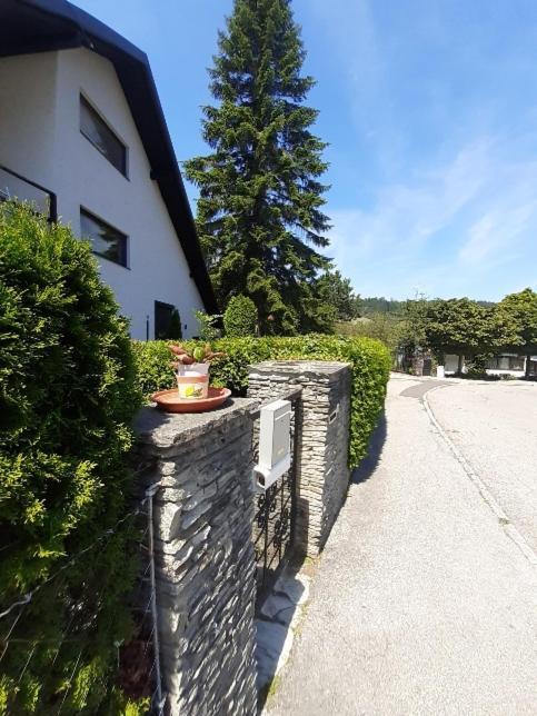 Penthouse N74 Linz 120 Qm Kids Welcome! Εξωτερικό φωτογραφία