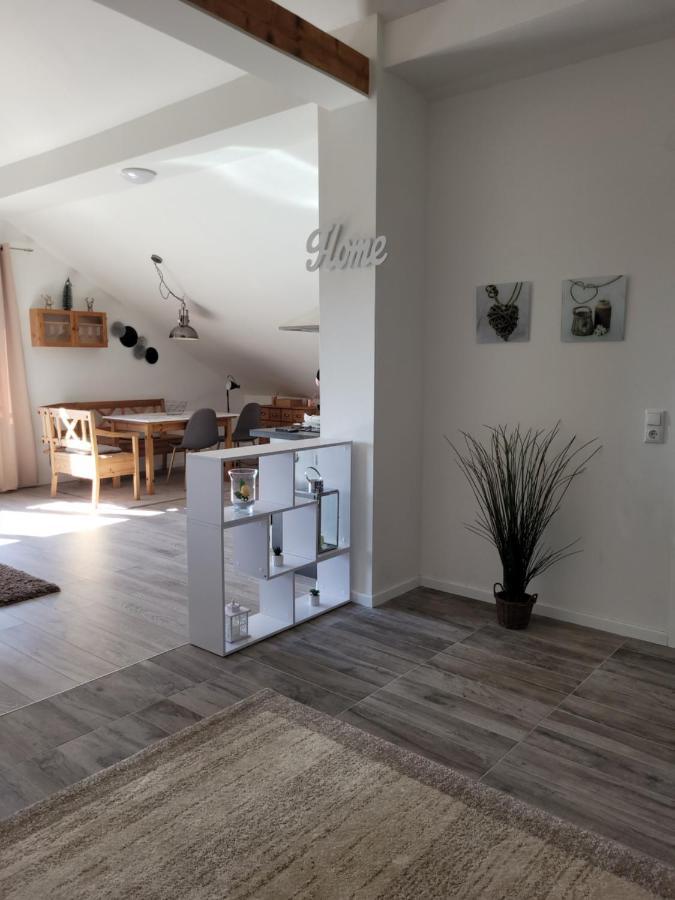 Penthouse N74 Linz 120 Qm Kids Welcome! Εξωτερικό φωτογραφία